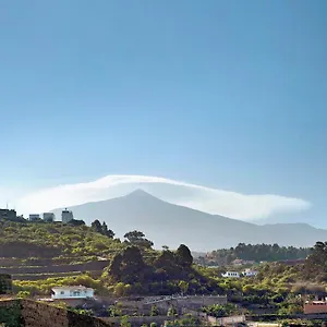 Tily , Icod De Los Vinos España